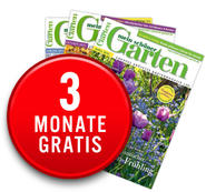 Zeitschrift Mein schöner Garten 3 Monate gratis im Abo lesen