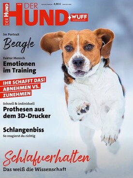 Zeitschrift Der Hund Abo