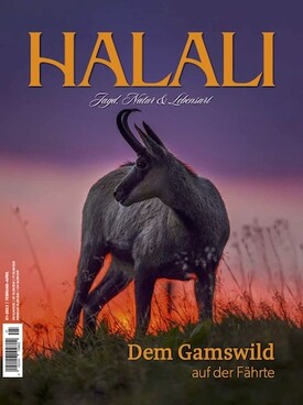 Zeitschrift HALALI Abo