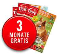 Zeitschrift Ein Herz für Tiere 3 Monate gratis im Abo lesen