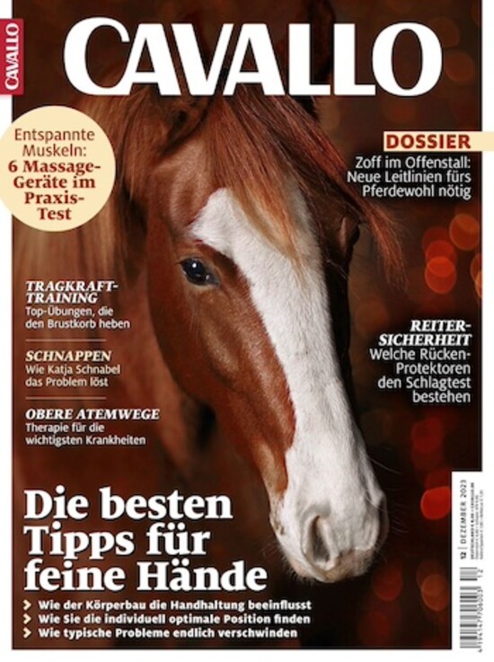 Cavallo Abo im Geschenkabo beim Lorenz Leserservice bestellen