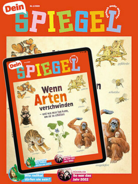 Zeitschrift Dein Spiegel E-Kombi Abo