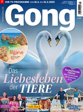 Zeitschrift Gong Abo