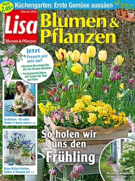 Zeitschrift Lisa Blumen & Pflanzen Abo