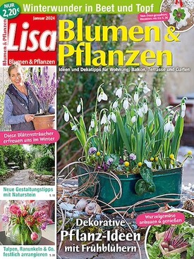 Zeitschrift Lisa Blumen & Pflanzen Abo